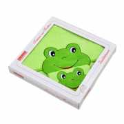 FROSCH LIMONE GESCHENKEKARTON